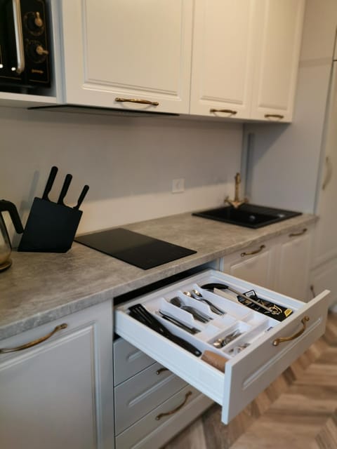 Cosy center Apartment Apartment in Klaipėda