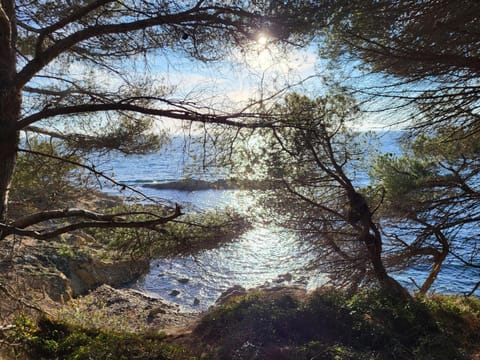 Havre de paix à deux pas du centre ville et de la plage Apartment in Cavalaire-sur-Mer