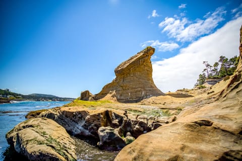 Whales Song House in Depoe Bay