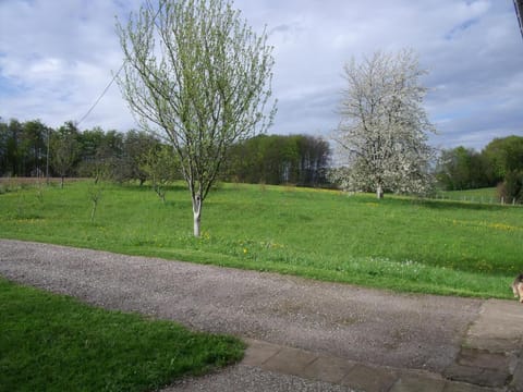 Spring, Natural landscape