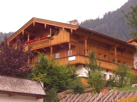 Winter, Summer, Street view