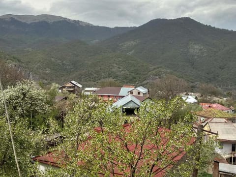 Neighbourhood, Natural landscape, Bird's eye view, Mountain view