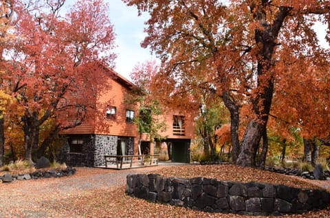 Day, Autumn