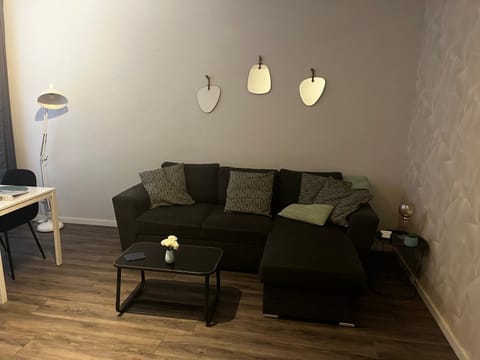 Poelgeeststraat Apartment in Leiden