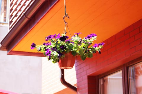 Pas Bani Bed and Breakfast in Palanga