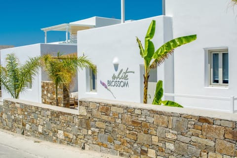 White Blossom Hotel in Paros
