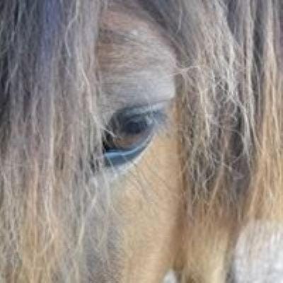 Ferme équestre Les Chevaliers Campground/ 
RV Resort in Auvergne-Rhône-Alpes