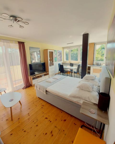 Photo of the whole room