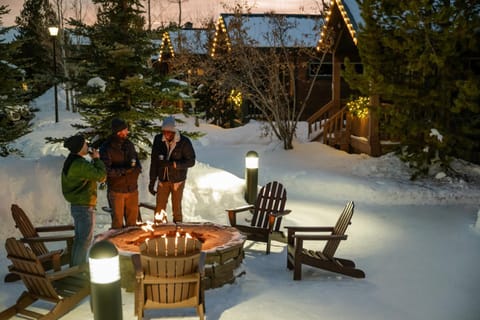 Natural landscape, Winter, group of guests, fireplace