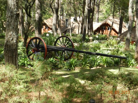 Sierra Paraiso Hotel Chalet in Mazamitla