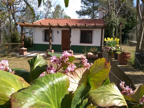 Facade/entrance, Natural landscape, Garden