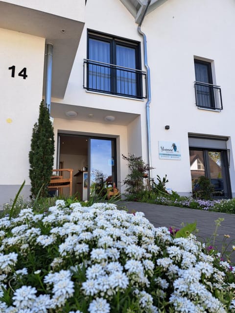 Property building, Spring