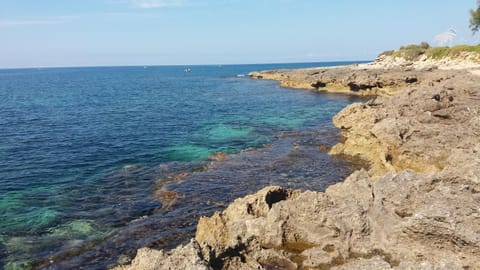 Natural landscape