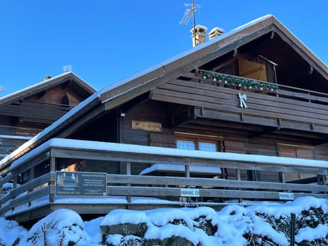 Chalet LE TREMPLIN - wifi, BBQ, parking Chalet in Xonrupt-Longemer