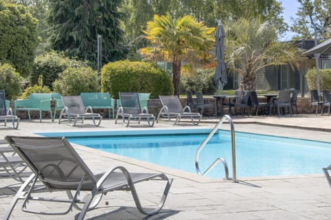 Patio, Garden view, Pool view, Swimming pool