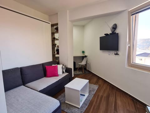 Victory Apartment Apartment in Montenegro
