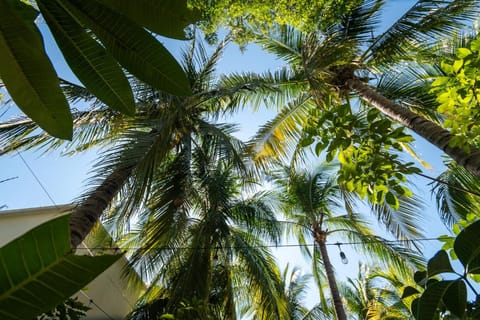 Hotel Villa Mozart y Macondo Hotel in Puerto Escondido