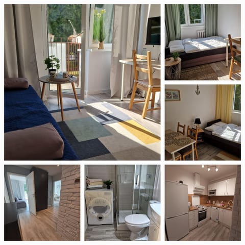 Bathroom, Living room, Photo of the whole room, Bedroom, kitchen