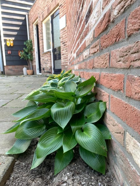 Het Korenhuus House in Zeeland, Netherlands