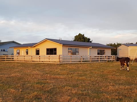 Property building, Animals