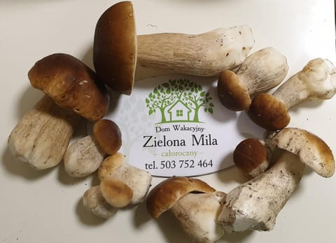 Zielona Mila Dom Wakacyjny House in Pomeranian Voivodeship