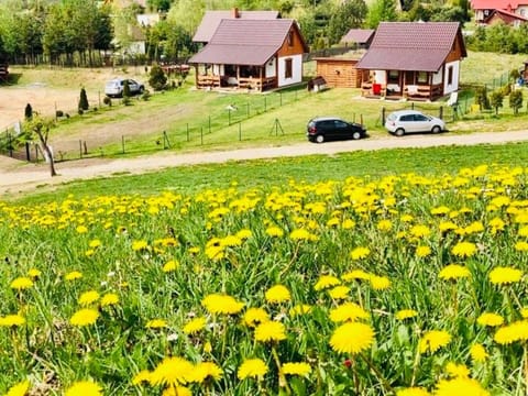 Domek Eden 7 Kaszuby balia sauna alpaki House in Pomeranian Voivodeship