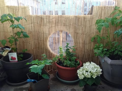 La Casa Loka, T3 idéalement situé, Port de Vannes Apartment in Séné