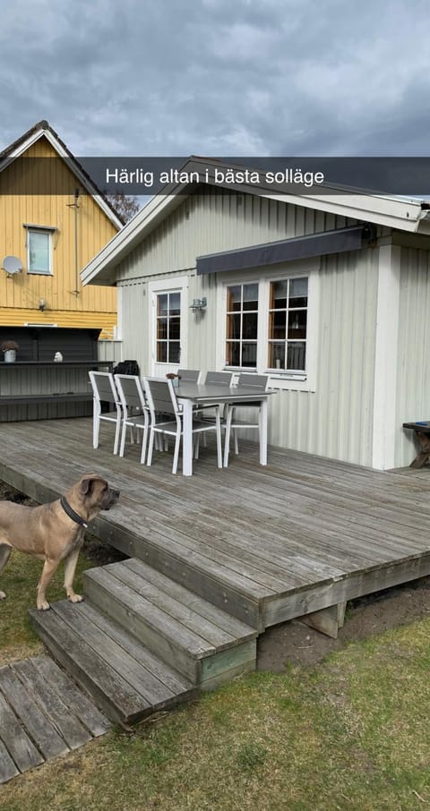 Garden, Balcony/Terrace, Pets