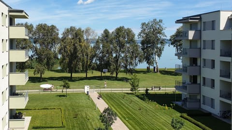Lake view