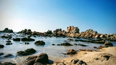 Sea view