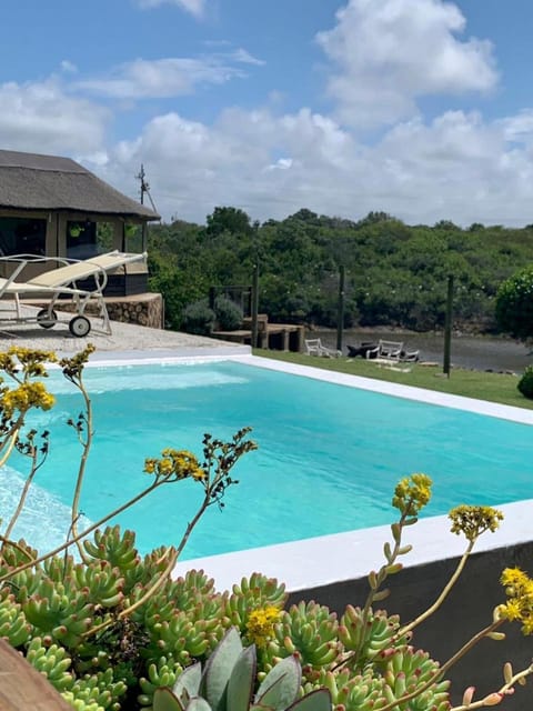 Garden view, Pool view, Swimming pool, sunbed