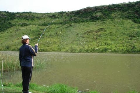 Property building, Fishing