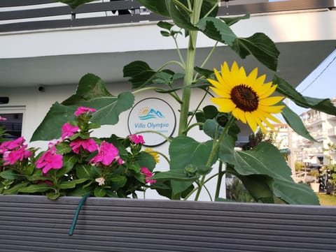 Property building, Property logo or sign