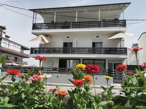 Property building, Garden, Garden view