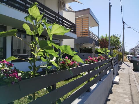 Property building, Garden, Garden view