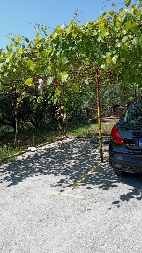 Apartments SILVA Apartment in Trogir