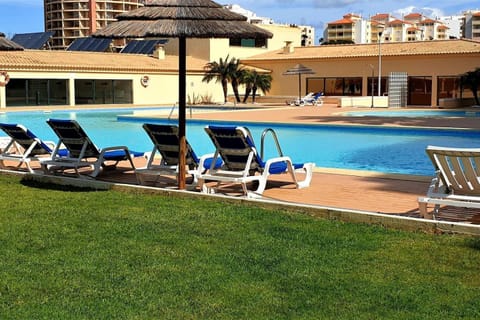 Garden, Swimming pool