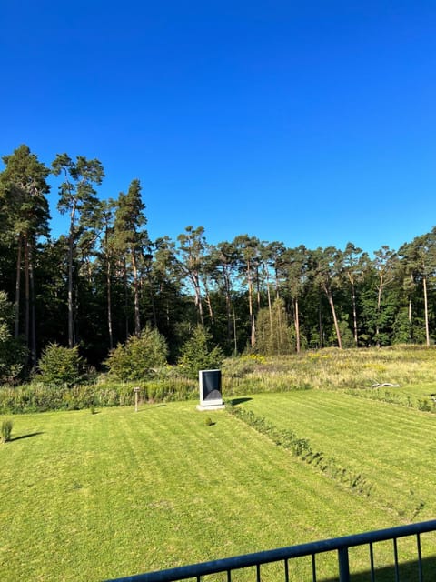 Spring, Off site, Day, Natural landscape