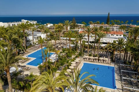 Garden, Swimming pool