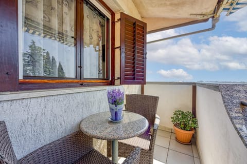 Mikelic Stara Barbariga Bed and Breakfast in Peroj