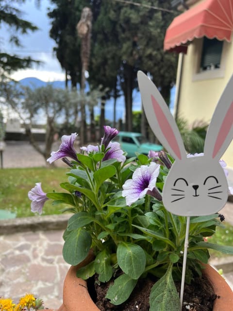 Villa CorteOlivo Rooms Bed and Breakfast in Torri del Benaco