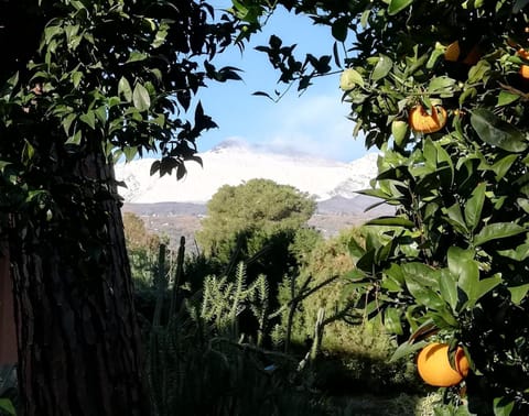 Garden, View (from property/room), Garden view, Landmark view, Mountain view