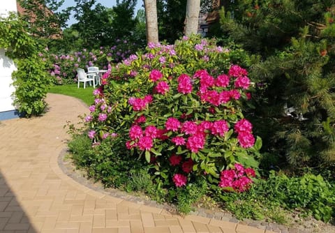 Haus Iffland Apartment in Sankt Peter-Ording