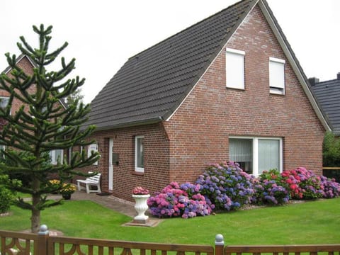 Property building, Day, Garden