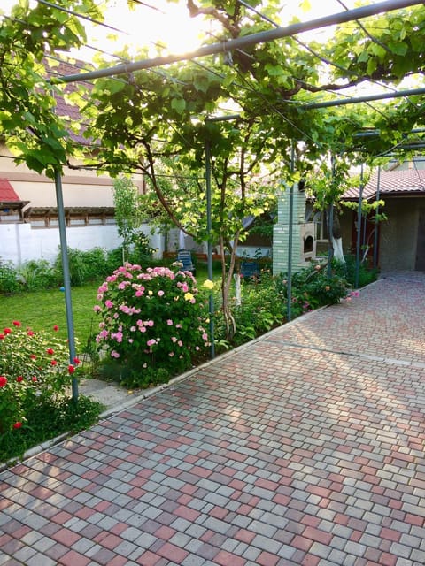 Spring, Day, Garden, Garden view