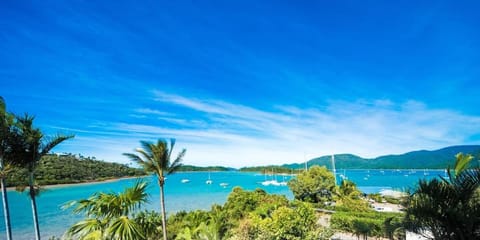 Mountain view, Sea view