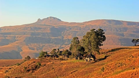 Mountain view