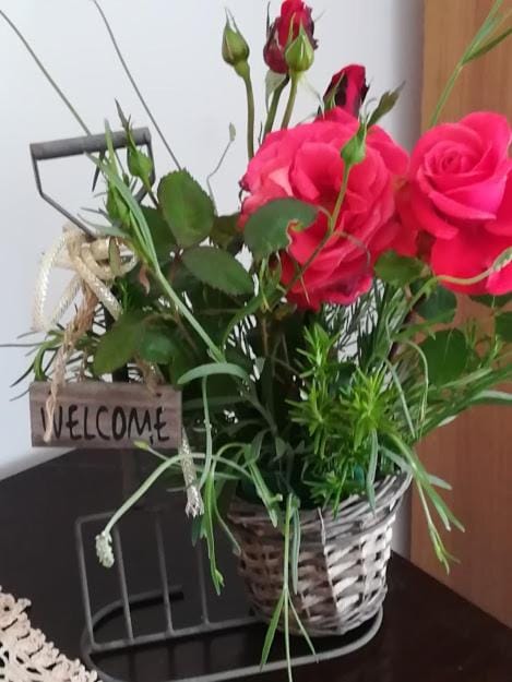 Alloggio Turistico Civico 4 Apartment in Bolsena