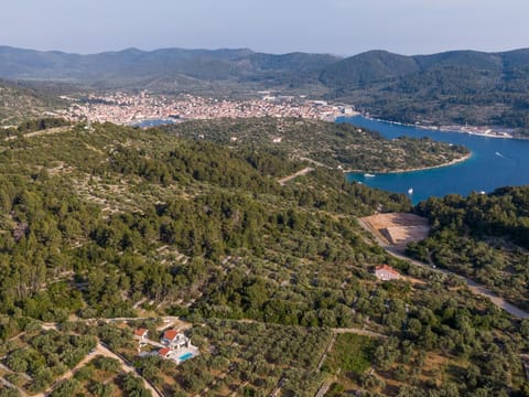 Villa Barbara - Olive Paradise, with chlorine-free pool Villa in Dubrovnik-Neretva County