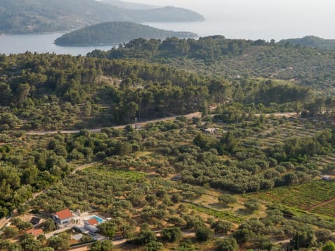 Villa Barbara - Olive Paradise, with chlorine-free pool Villa in Dubrovnik-Neretva County